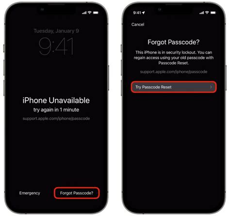 Image result for Master Reset iPhone 7 Plus Forgot Passcode