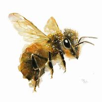Image result for Bee Art