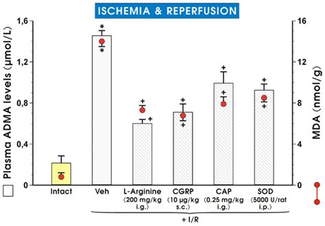 Exogenous Asymmetric Dimethylarginine (ADMA) in Pathogenesis of ...