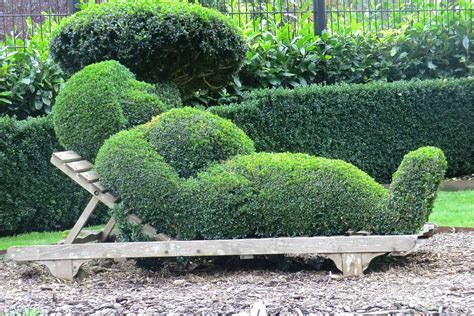 Best Shrubs to Grow in Front of House