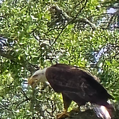 Lake Amador Resort Camping | Ione, California