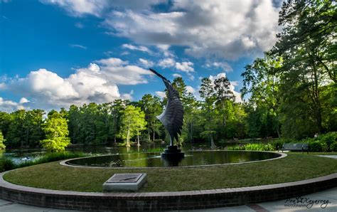 Swan Lake Iris Gardens, Sumter Vacation Rentals: house rentals & more ...