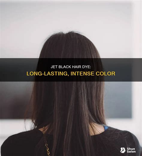 Jet Black Hair Dye: Long-Lasting, Intense Color | ShunSalon