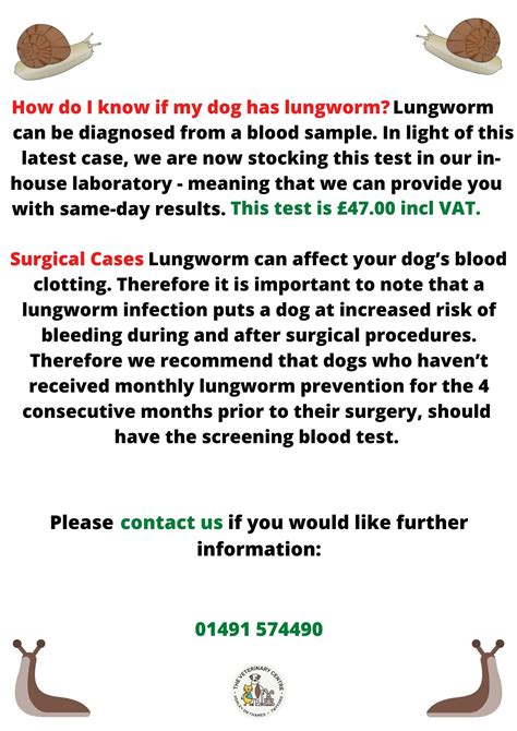 How Do You Test For Lungworm In Dogs