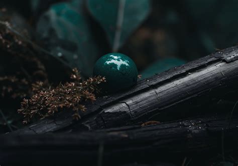 Resource Distribution 的图像结果