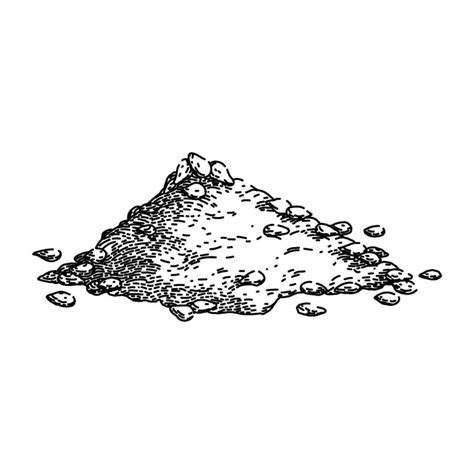 Image result for Seed Draw Script