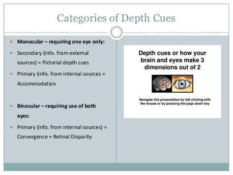 Depth Perception 的图像结果