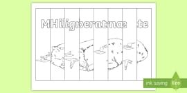 Earth's Movement Agamographs Colouring Pages (teacher made)