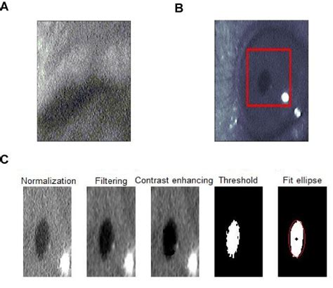 Image result for Eye Tracking Algorithm
