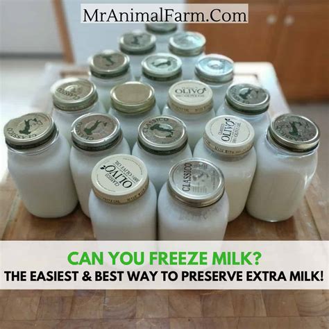 Can You Freeze Milk? A Fast & Easy Way to Preserve Milk!