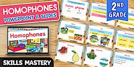 Homophones PowerPoint (teacher made) - Twinkl