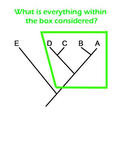 Image result for Bio Chapter 4 Quiz