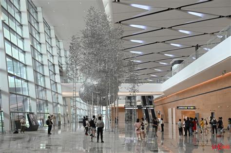 三星堆、大熊猫、青城山……成都天府国际机场到底藏了多少四川文化_航站楼