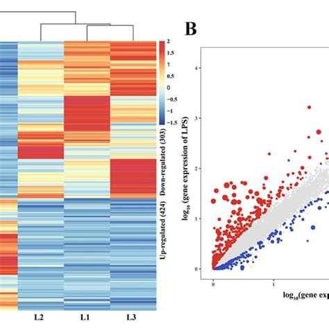 Image result for Transcriptome Analysis