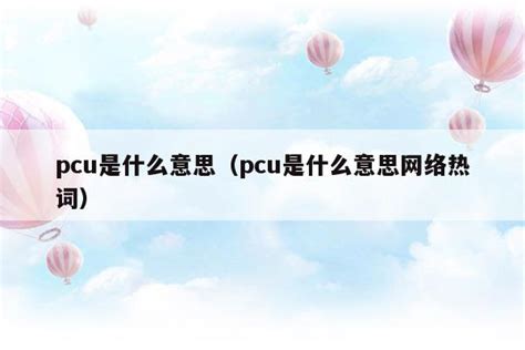 PCU（分组控制单元） - 搜狗百科