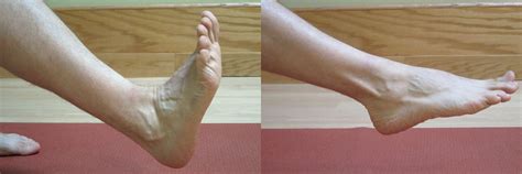 Range Of Motion For Ankle at Thomas Pritchett blog