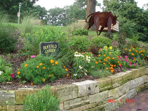 Buffalo Garden : Musser Public Library