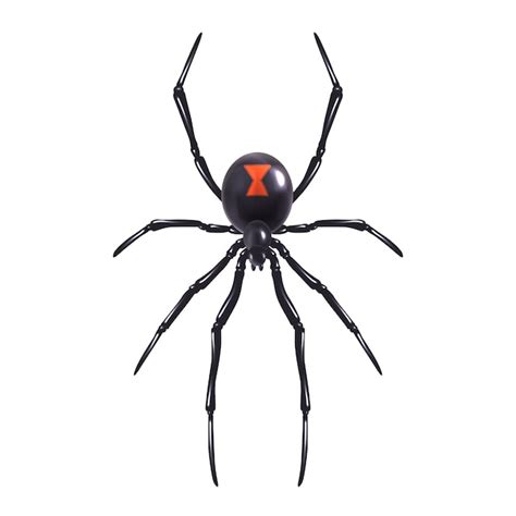 3d spider model-vectors - Download gratis hoogwaardige vectors van ...