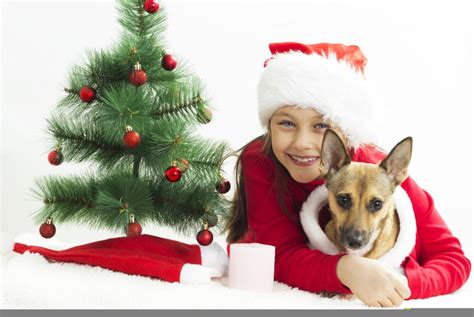 可爱的孩子与宠物狗狗图片-女孩和宠物狗狗过圣诞节素材-高清图片-摄影照片-寻图免费打包下载