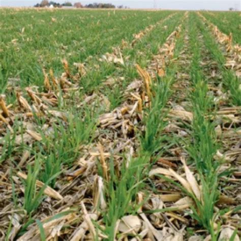 No-Till Farming in SD 的图像结果