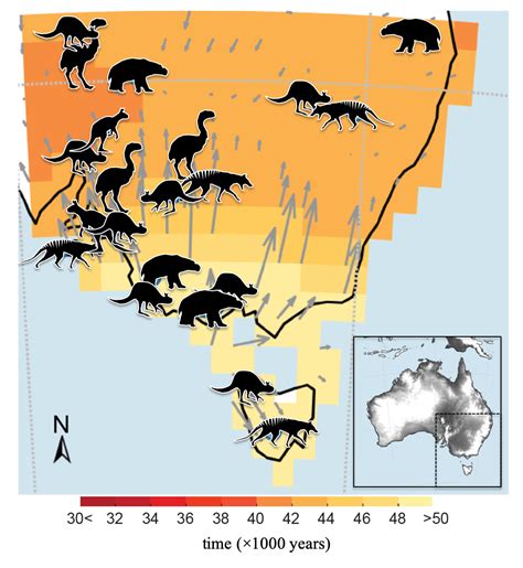 Extinction Of Megafauna In Australia