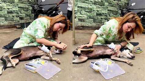Munmun Dutta Rescues Stray Dog After Bike Accident, Slams 'Rascal' Who ...