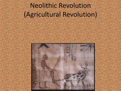 Neolithic Revolution 的图像结果