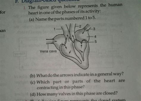 ans plzzz frndsssssssss - Brainly.in