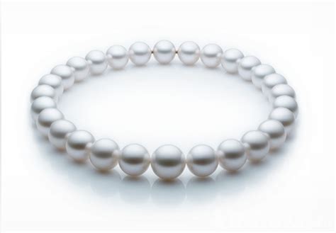 Buying Pearls | Mother of Pearls | Pearl Meat | Mother of Pearl