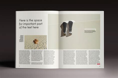 Adobe InDesign Examples 的图像结果