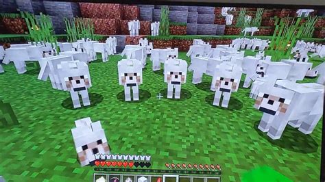 Minecraft Baby Angry Wolf 的图像结果
