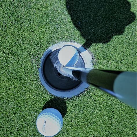 Home [www.mimosahills.org]