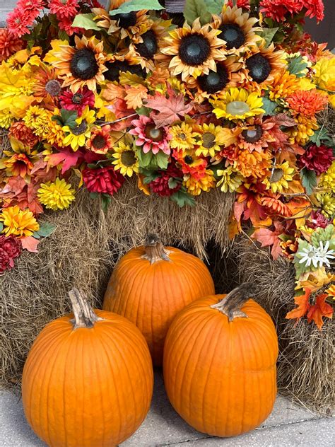 Pumpkins And Flowers