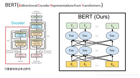 Image result for Bert Encoder Pytorch