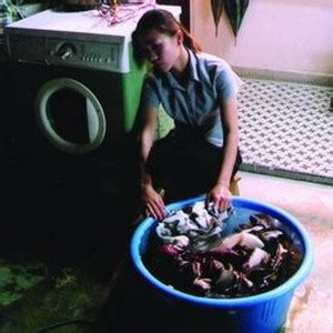 Beautiful Washing Machine 的图像结果