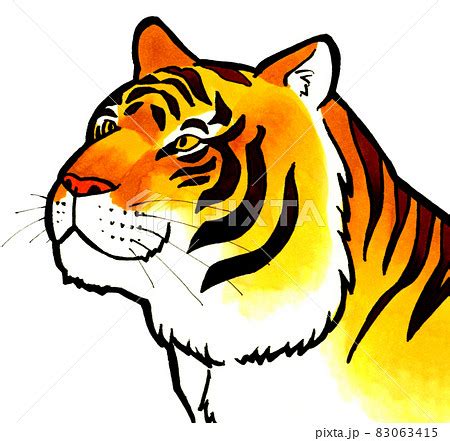 Image result for Python Project Icon SVG Image