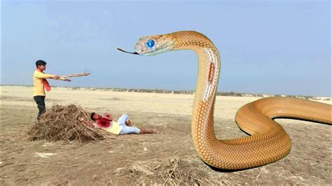 Image result for Python Installation On User Account