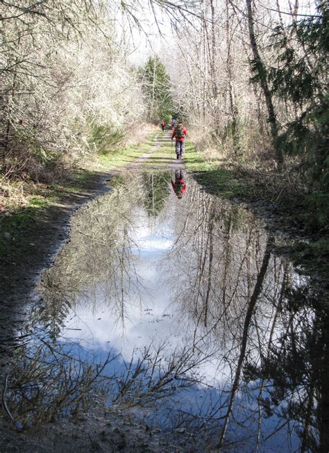 Nisqually State Park — Washington Trails Association