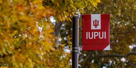 Pipe Bombs Exploding 的图像结果