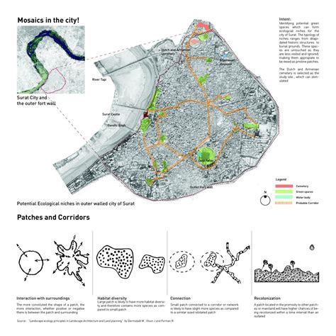 CURATED LANDSCAPE | CEPT - Portfolio