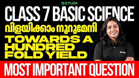 Image result for Xylem Class 7 Basic Science