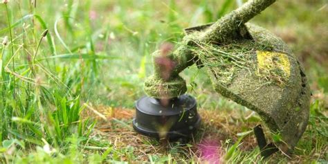 Image result for How to Rebuild a String Trimmer