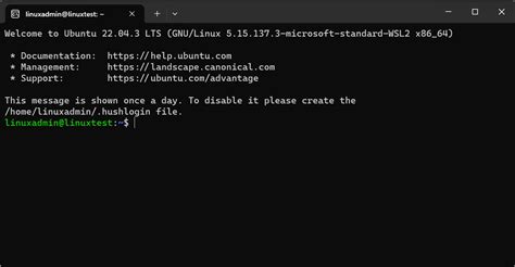 Image result for Subsistem Windows untuk Linux WSL Vs Virtual Machine