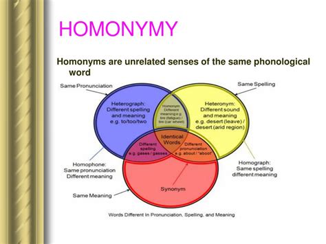 Image result for Lexical Relations