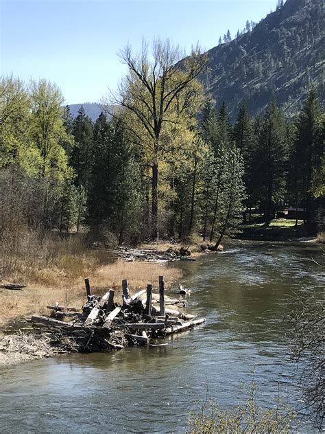 Engineered log jam | FWS.gov