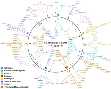 Pcdf Vector 的图像结果