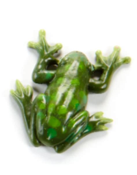 Frog Magnet - The Birdhouse Nature Store