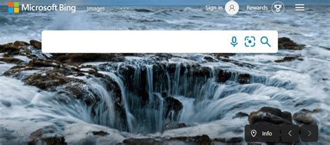 View Browser History Bing 的图像结果