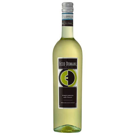 Ecco Domani Pinot Grigio (750 ml) Delivery or Pickup Near Me - Instacart