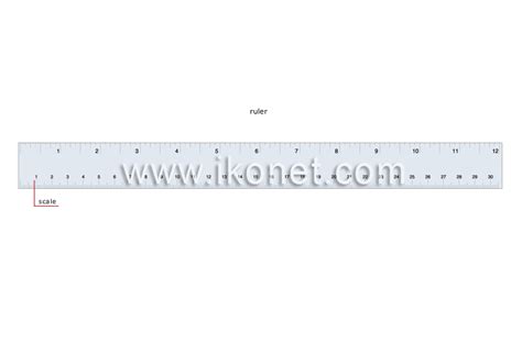 Image result for Measure Length